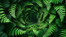 Lush Fern Spiral Pattern Creating A Natural Green Mandala