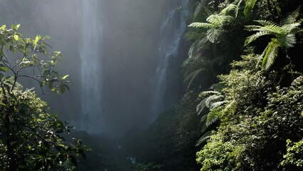 Wall Mural - Closeup tripod footage of Sekumpul waterfall on sunny day. Bali, Indonesia.