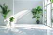 Bright minimalist foyer with indoor plants and natural light