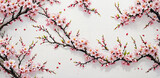 Fototapeta Sypialnia - Sakura, Pink Cherry blossoms branches in full bloom, flowers and buds against a soft white background. Perfect for spring themes or celebrating the beauty of nature