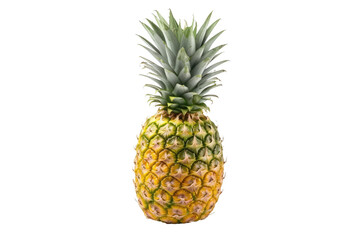 A Pineapple on a White Background. On a White or Clear Surface PNG Transparent Background..