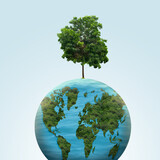 Fototapeta Sport - Globe with a growing tree