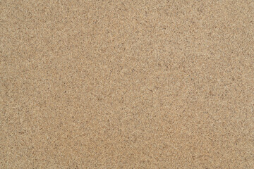 Wall Mural - Chipboard background texture closeup. sawdust board