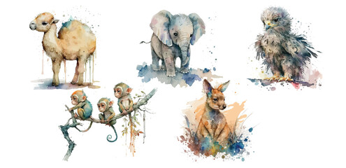 Poster - watercolor, wildlife, elephant, camel, bird, art, 