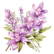 Lilac Dendrobium clipart clipart isolated on white background