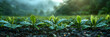 Tea plantations extending to the horizon,
Harvesting Tea Leaves In Lush Plantation Against Verdant Mountain Backdrop
