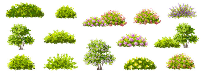 Wall Mural - vertor set of spring blossom tree,bloomimg plants side view for landscape elevation and section,eco 