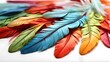 colorful feathers on a white background--Vibrant Plumes: A High-Key Symphony of Multi-Color Feathers on White Background - Wallpaper Edition
