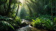 A sunlit stream flows through a dense jungle.

