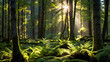 A photo of ferns growing in a forest with sunlight shining through the trees.

