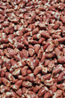 close-up image showcasing a texture made entirely of raw chicken hearts, suitable for food industry and culinary concepts.