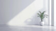 Potted palm plant in a minimalist white room with natural light and shadow. Interior design and tranquility concept. Design for poster, wallpaper, banner with copyspace