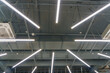 © Pokoman - Beautiful ceiling and lighting design in a modern shopping mall. Wooden paneling on the ceiling and large round lamps.