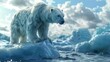 Polar Bear on an Iceberg in a Melting Arctic, Climate Change Alert