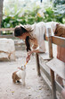 © SHOTPRIME STUDIO - A woman petting a rabbit on a bench in front of a wooden fence with trees in the background