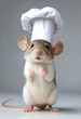 mouse with a chef hat
