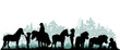Children and pets silhouettes on white background. Little girls and boys play and feed ponies. Vector illustration.	
