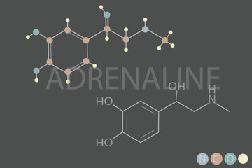 Sticker - adrenaline molecular skeletal chemical formula