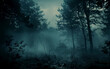 © LouLou - Eerie forest night: found footage-style exploration of playful yet macabre ambiance amidst dark, fog-laden trees