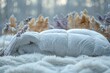 White Comforter on Top of White Blanket