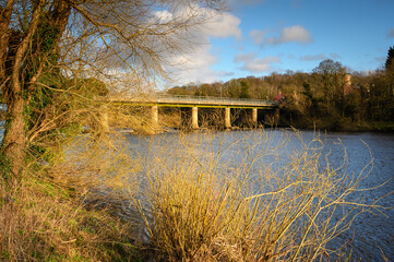 Wall Mural - tree-lined river tyne at wylam. the river tyne at wylam located in northumberland on the tree-lined 