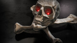 Fototapeta Nowy Jork - pirates skull and bones