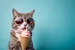 Funny cat wearing sunglasses and eating ice cream cone on solid color background