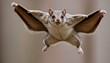 A Flying Squirrel With Its Arms Spread Wide Upscaled