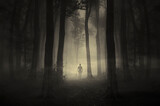 Fototapeta Las - scary forest scene, man silhouette in fog at night