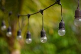 Fototapeta Motyle - Light bulbs hanging on the electric line