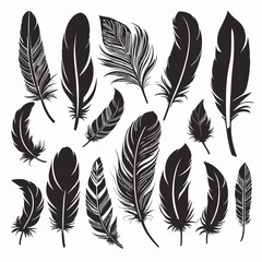 Wall Mural - illustrated collection of various black feather silhouettes, showcasing different shapes and texture