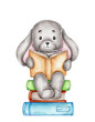 Cute bunny reads book and sits on books; watercolor hand drawn illustration