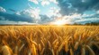 Wheat field, plantation background. Generative AI.