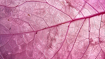 leaf texture pattern, leaf background with veins and cells - mac