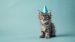 © Milosc - Cat celebrating with party hat. Creative animal poster.