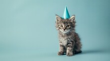 Cat Celebrating With Party Hat. Creative Animal Poster. 