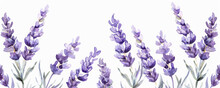 A Detailed Watercolor Painting Featuring Lavender Flowers On A Clean White Background. The Delicate Purple Flowers Are Intricately Depicted With Soft Brushstrokes. Banner. Copy Space
