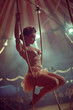 © Ricky - beautiful acrobatic performer woman vintage circus photograph print 1940-1950 french style