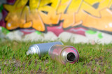 Fototapeta  - Several used spray cans with paint and caps for spraying paint under pressure on grass near the painted wall in colored graffiti drawings