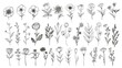 Illustrations of flowers, leaves, and branches. 30 hand drawn sketch design elements. Perfect for invitations, greeting cards, tattoos, prints, etc.