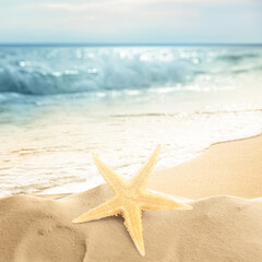 Wall Mural - Beautiful starfish on sandy beach near sea, space for text