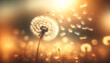 Dandelion Whispers at Sunset: A Dance of Light and Seeds