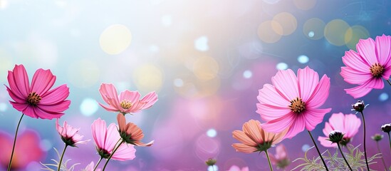 Wall Mural - Colorful flowers in a field with blurred light background