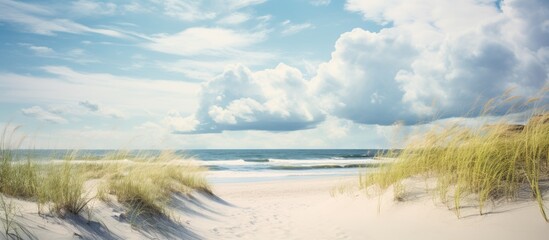 Poster - View of beach with grass and sand