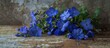 Atop a vintage table, a bunch of blue Cape leadwort flowers is artfully displayed, offering a simple yet captivating spectacle