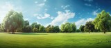 Fototapeta  - Beautiful sunny green park with trees under a blue sky