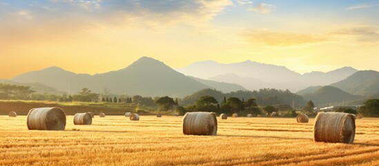 Poster - Sunrise over hay bales in a field with distant mountains