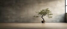 A Small Potted Tree On A Wooden Floor And A Lonely Tree In A Room
