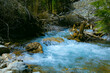 Jiuzhaigou Valley, Aba Qiang and Tibetan Autonomous Prefecture, Sichuan Province - Streams and waterfalls in the forest