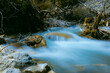 Jiuzhaigou Valley, Aba Qiang and Tibetan Autonomous Prefecture, Sichuan Province - Streams and waterfalls in the forest